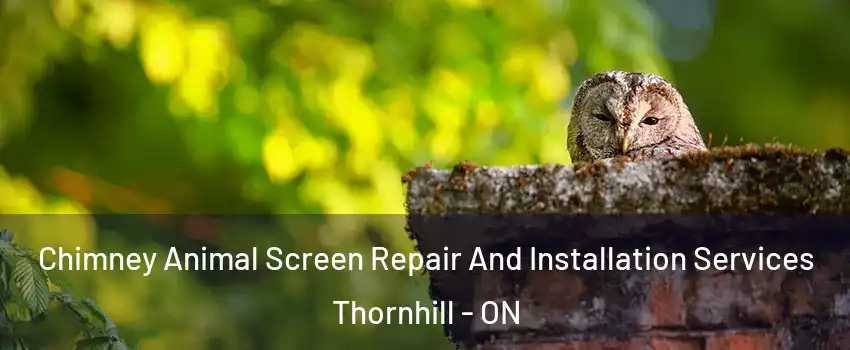 Chimney Animal Screen Repair And Installation Services Thornhill - ON