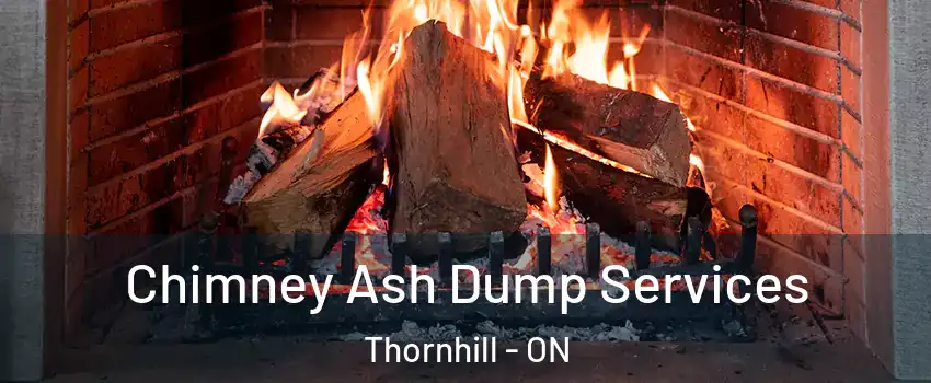 Chimney Ash Dump Services Thornhill - ON