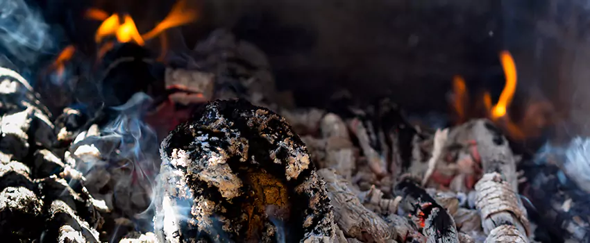 Creosote Removal Experts in Thornhill, ON