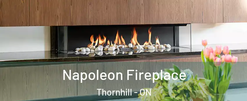 Napoleon Fireplace Thornhill - ON